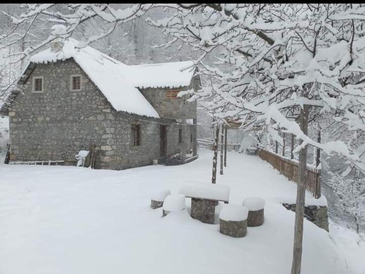 Guest House Gjelaj Theth Zewnętrze zdjęcie