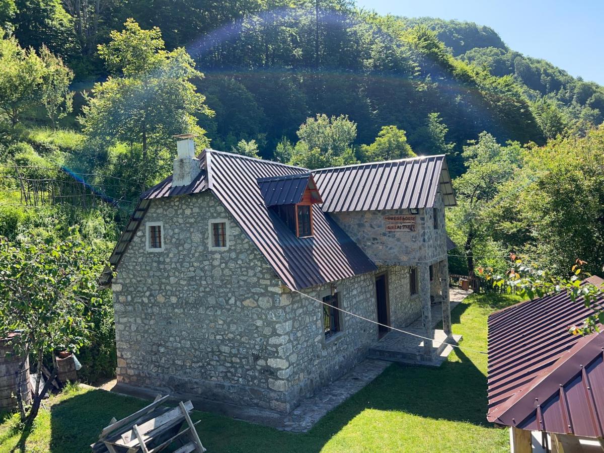 Guest House Gjelaj Theth Zewnętrze zdjęcie